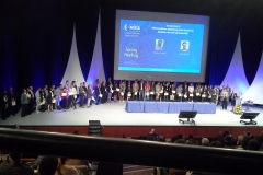 Mahdieh EMRS2015