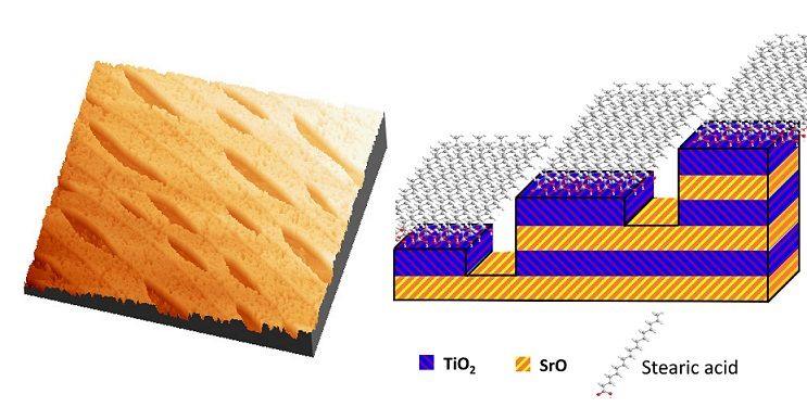 nanopatterning-red